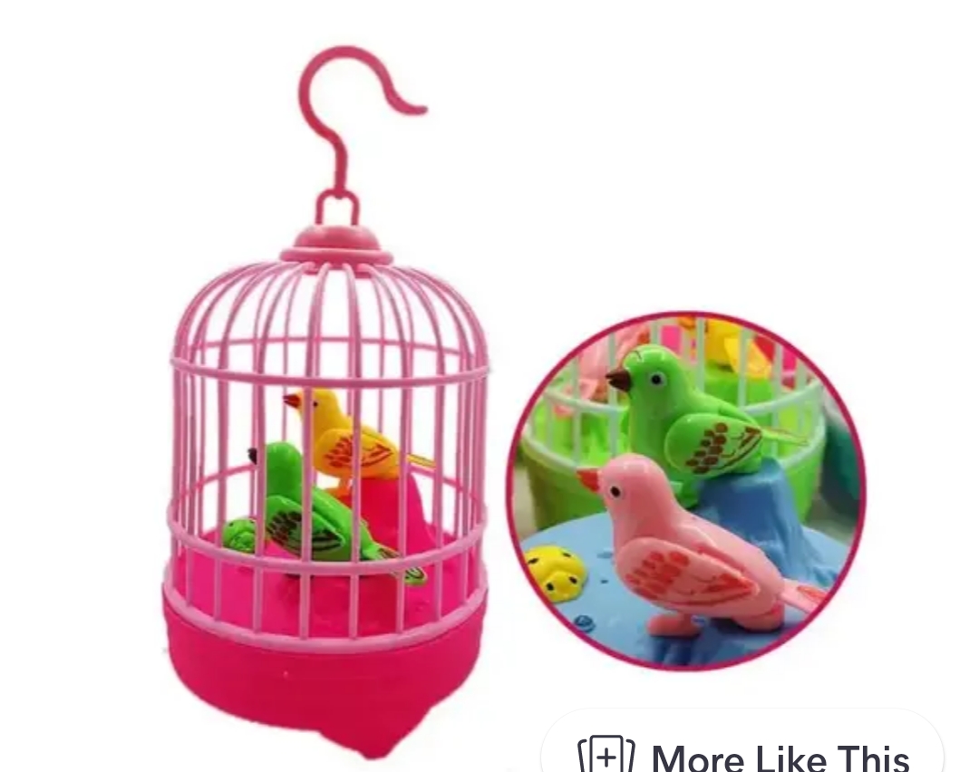 Talking Bird Toy with Cage