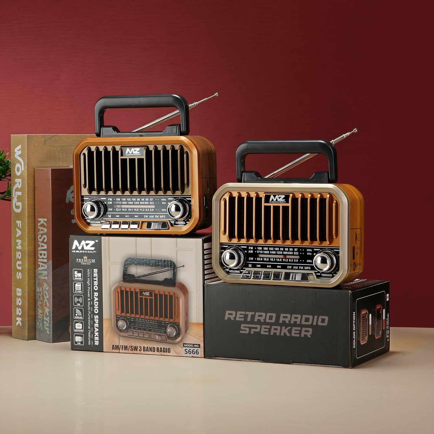 Bluetooth Speaker with FM Radio