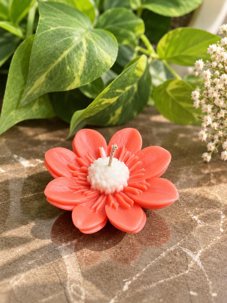 Coral Daisy Candle