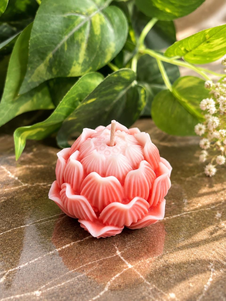 Pink Lotus Bloom