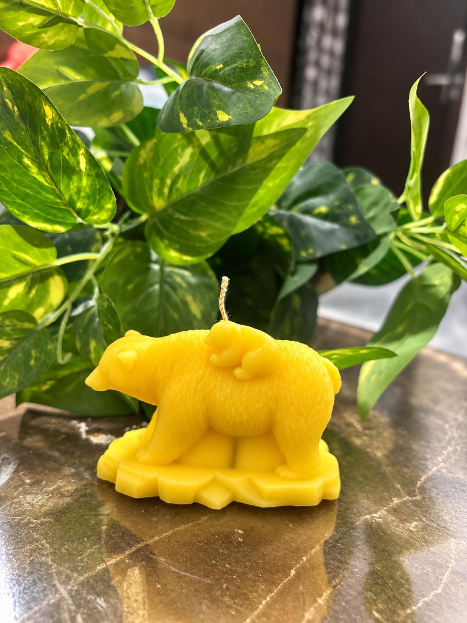 Bear Candle