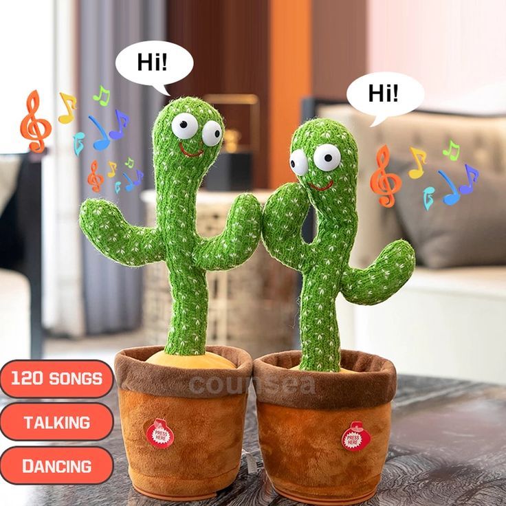 Kids Cactus Toy